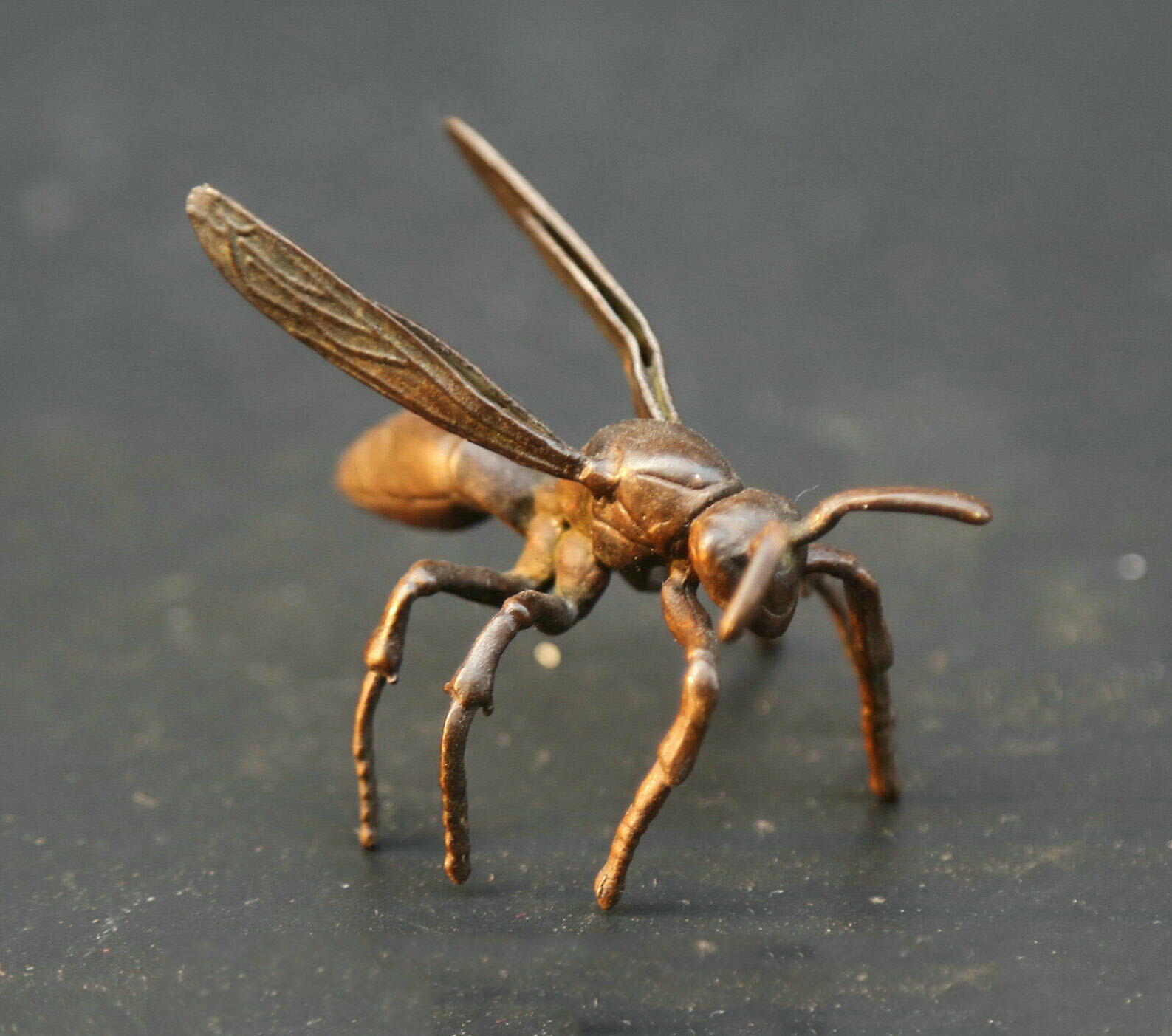 2.2″ Animal Hornet Wasp Vespid Small Statue Collect Chinese Pure Bronze Insect