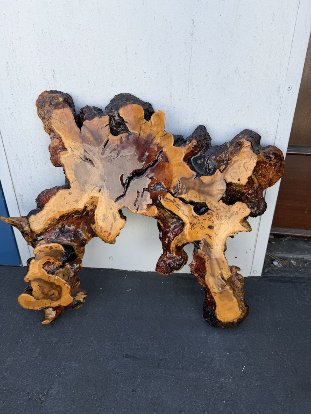 Antique Burl Wood Wall Decor Or Convert To Table stand