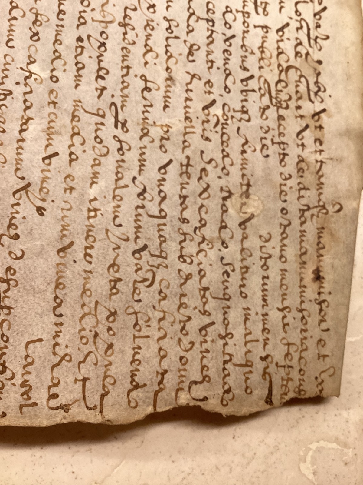 1500’s Vellum Manuscript Document-Handwritten Latin Legal Deed w/Flourishes