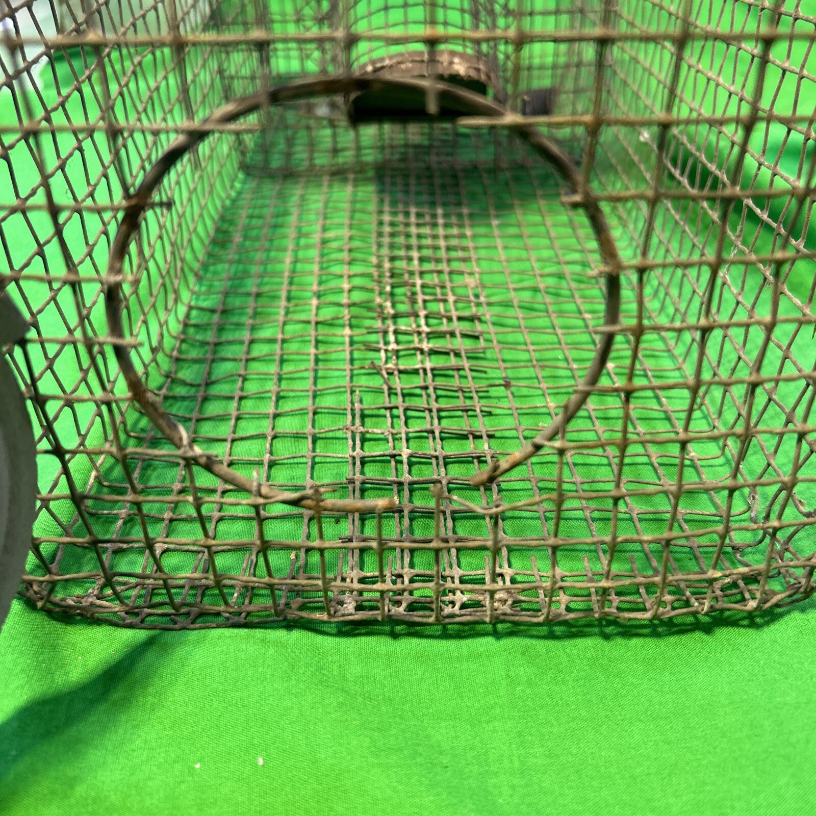 Vintage 8″ x 18″ Metal Wire Small Live Animal Bait Carry Cage Old