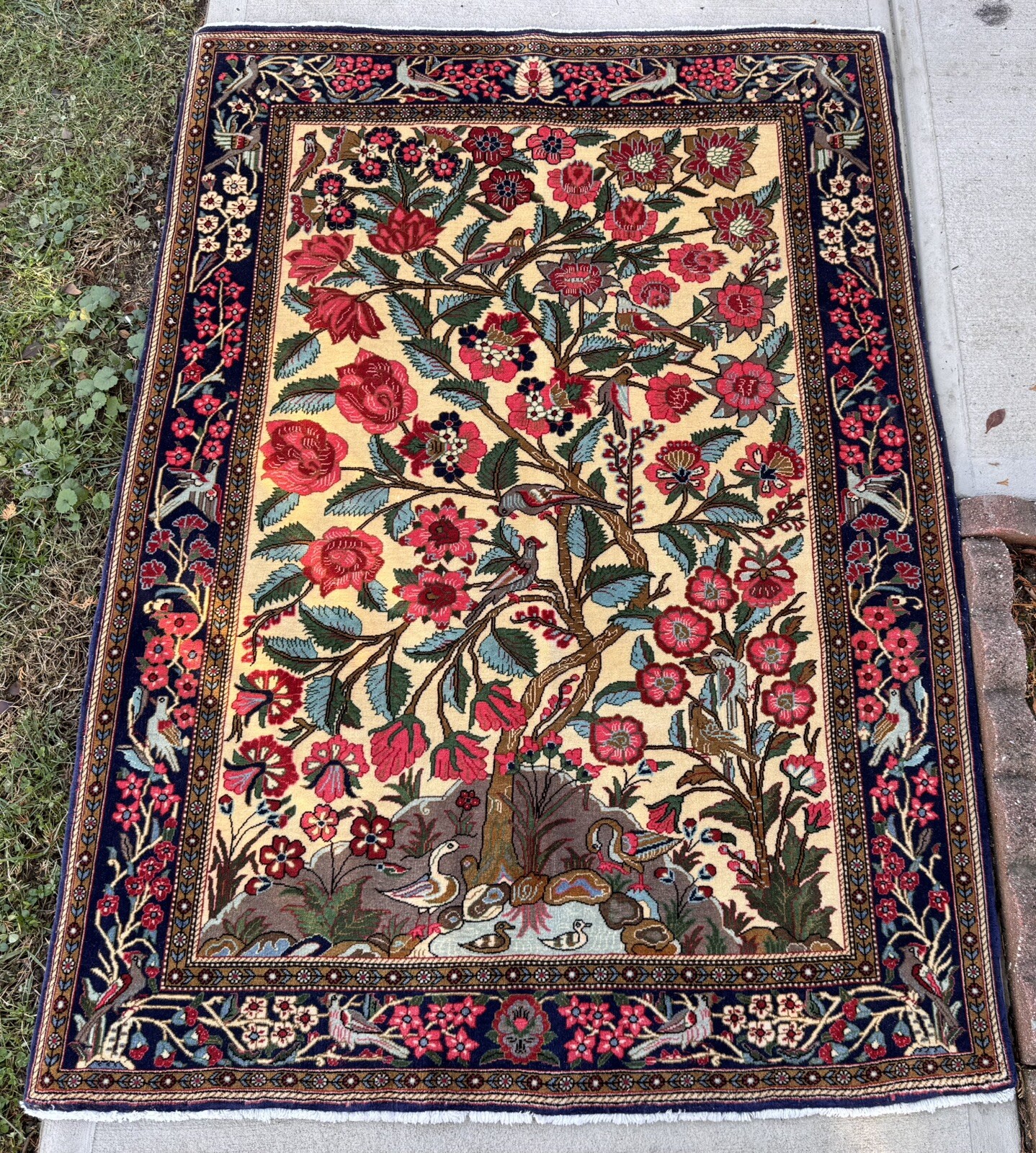 Circa 1950 Authentic Superb Oriental Rug Tree Of Life 4×6 Ft