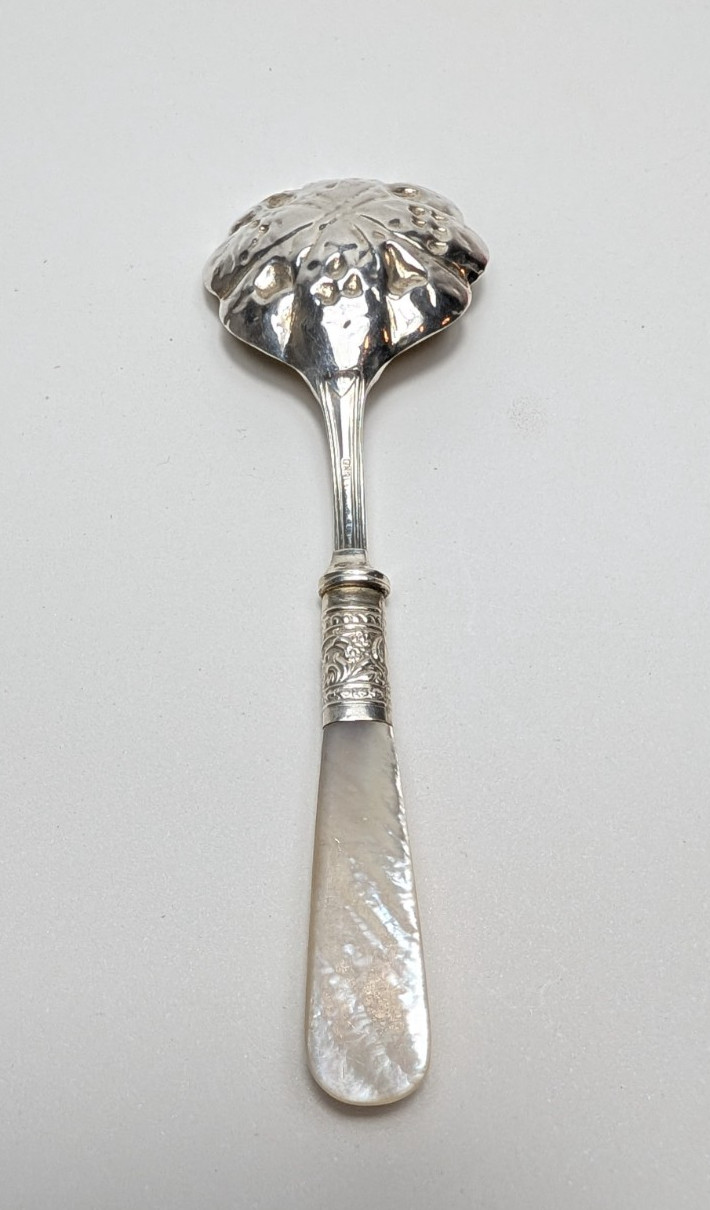 Vintage Silver Plate Spoon Mother of Pearl Handle Fruit Motif
