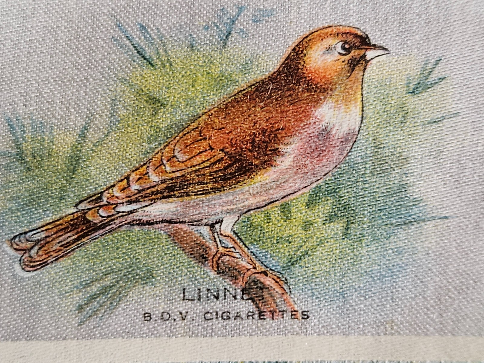 Vintage antique tobacco cigarette silk – use in crazy quilt: Linnet bird, BDV