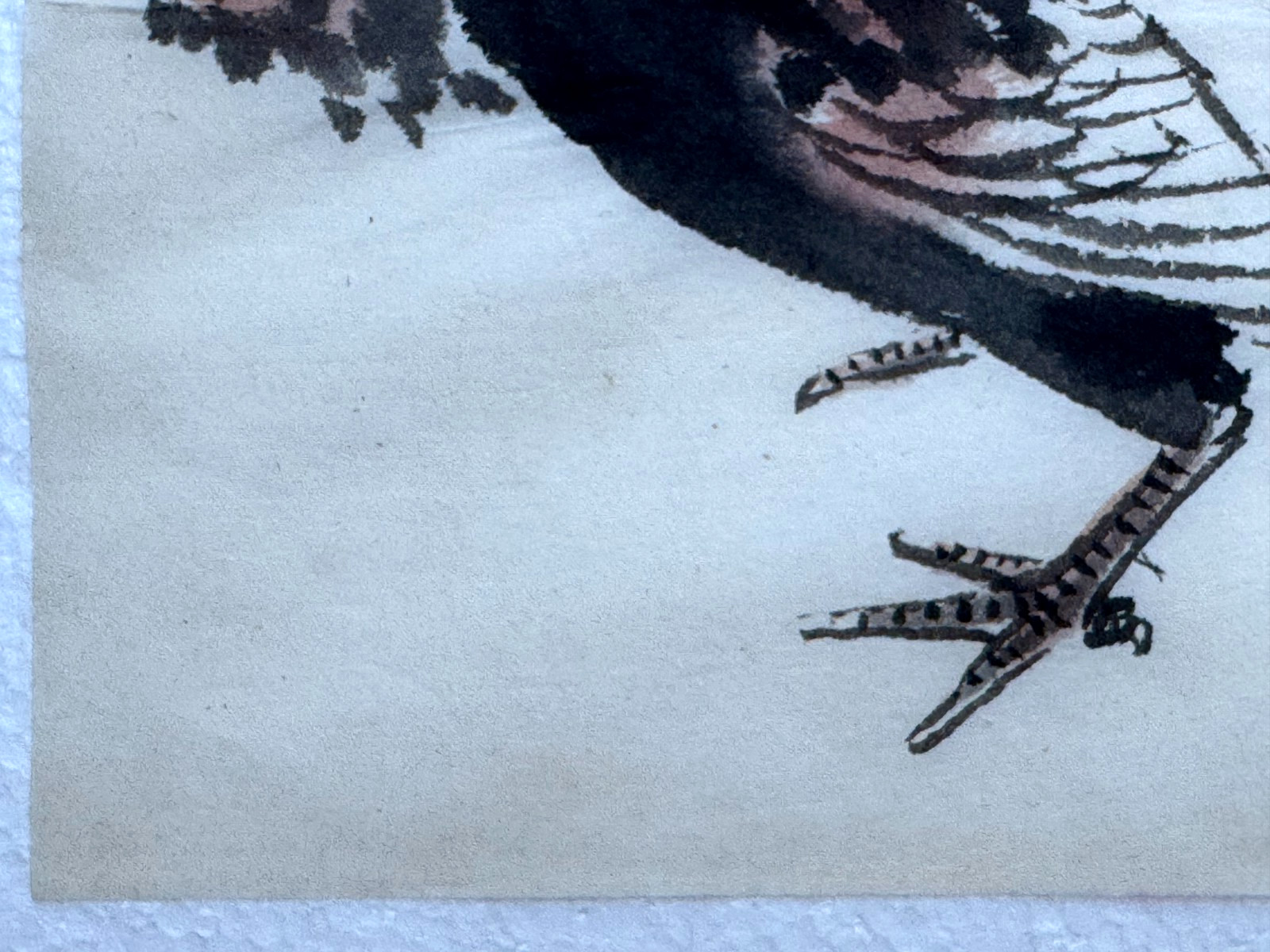 VINTAGE ASIAN PAINTING PHEASANT BIRD CHINESE JAPANESE INK & WATERCOLOR RED SEAL