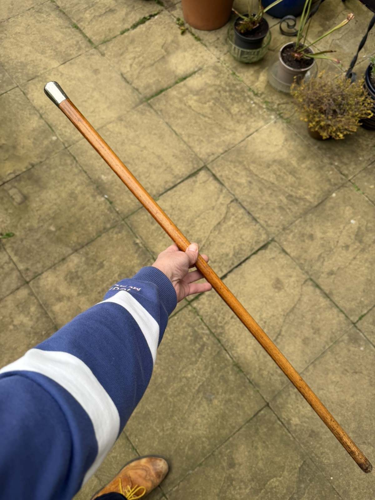 Antique Hallmarked Silver Topped Walking Stick Malacca Shaft London 1909