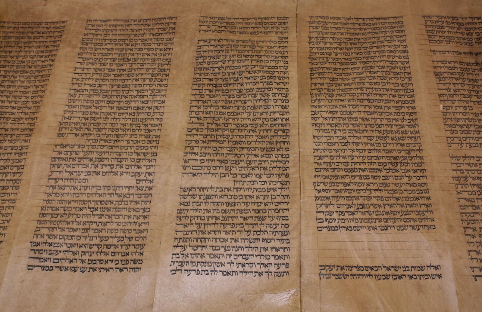 ANCIENT COMPLETE TORAH BIBLE MANUSCRIPT SCROLL DEER PARCHMENT 450 YRS ITALY