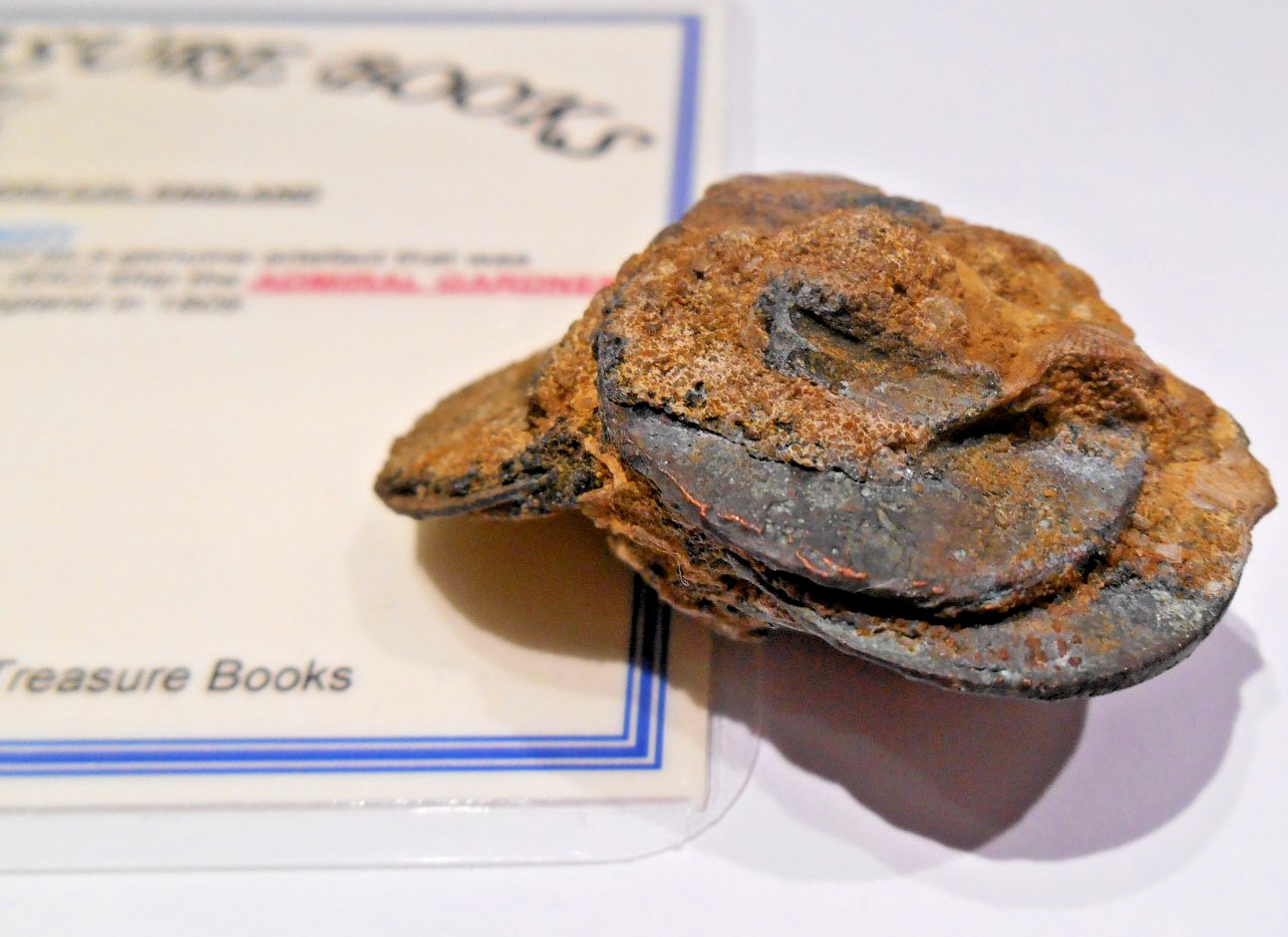 TREASURE copper 7 COIN CLUMP shipwreck 1808 EAST INDIA wreck SHIP cash GARDNER