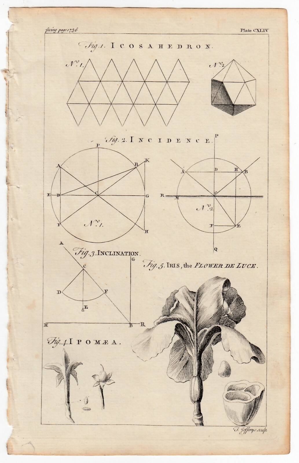 1764 THOMAS JEFFERYS Copper Engraving ICOSAHEDRON INCIDENCE INCLINATION IRIS ++