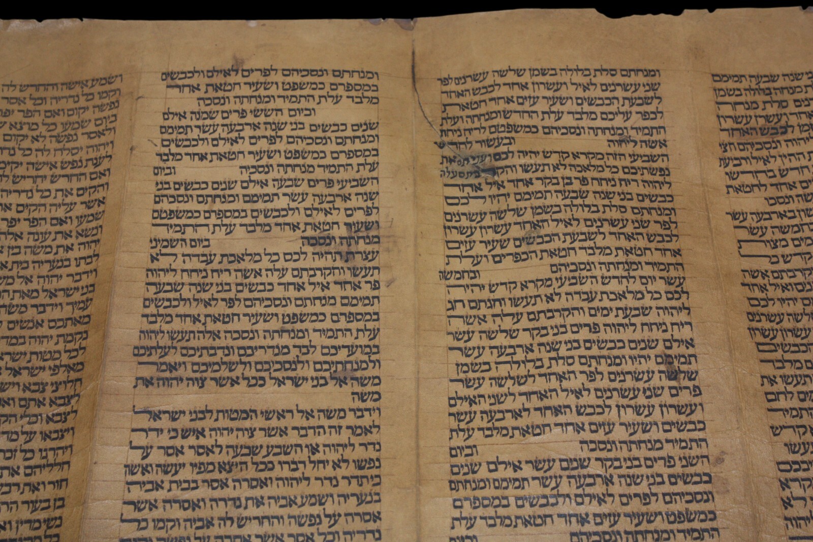 ANCIENT COMPLETE TORAH BIBLE MANUSCRIPT SCROLL DEER PARCHMENT 450 YRS ITALY