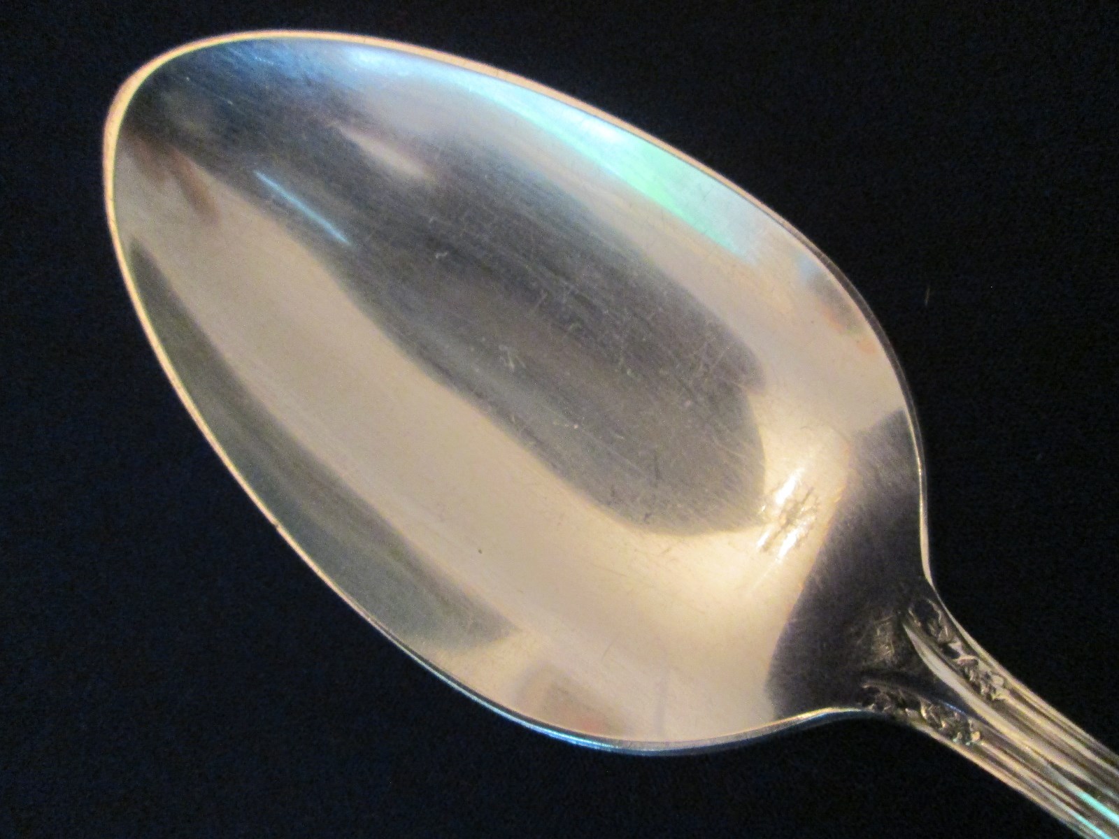 SERVING TABLE SPOON! Vintage WM. ROGERS silverplate: FAIR OAK pattern: LOVELY!