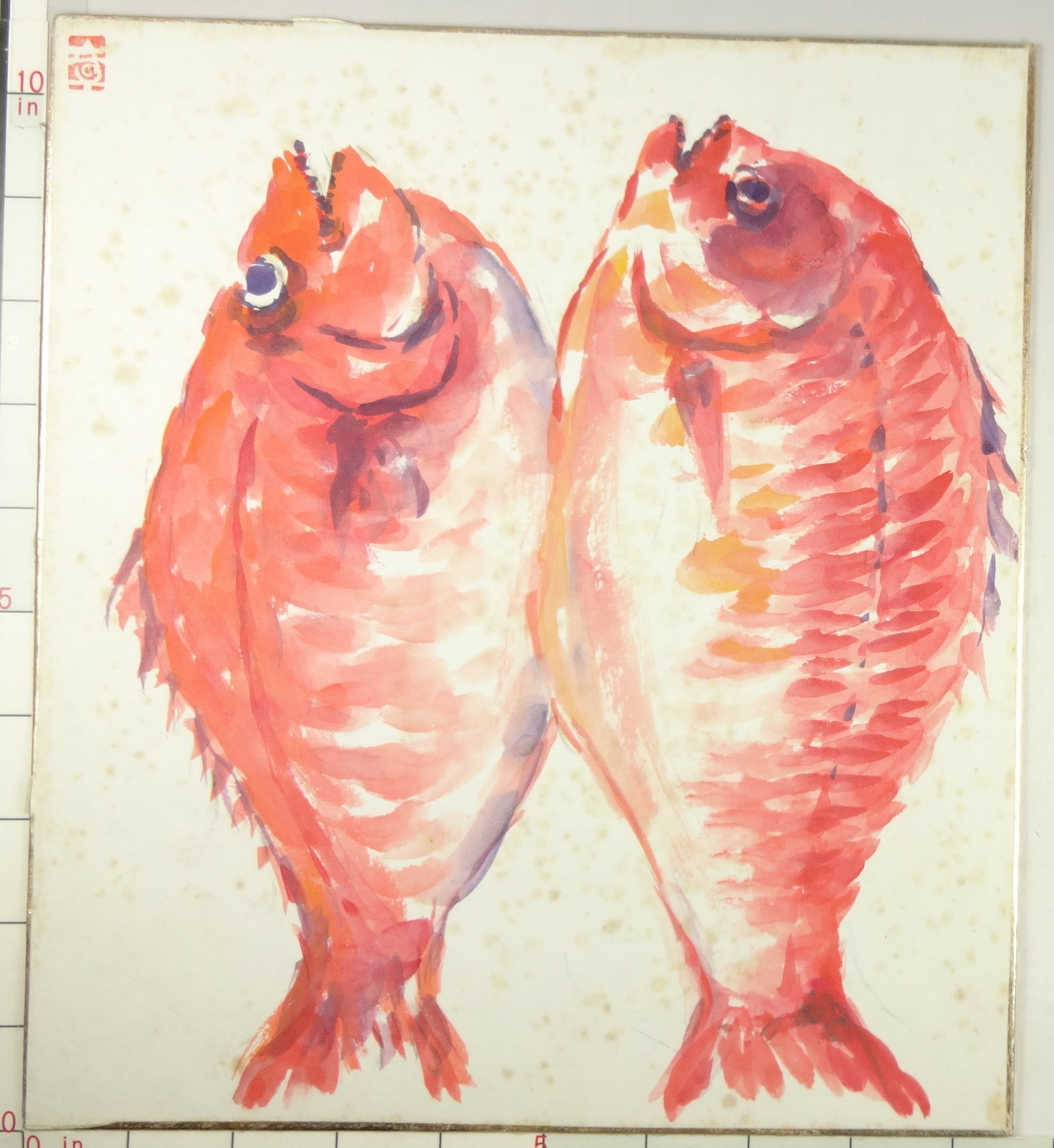 IS548 SHIKISHI Fish Animal Japanese Art Painting Nihonga Picture Geijyutu
