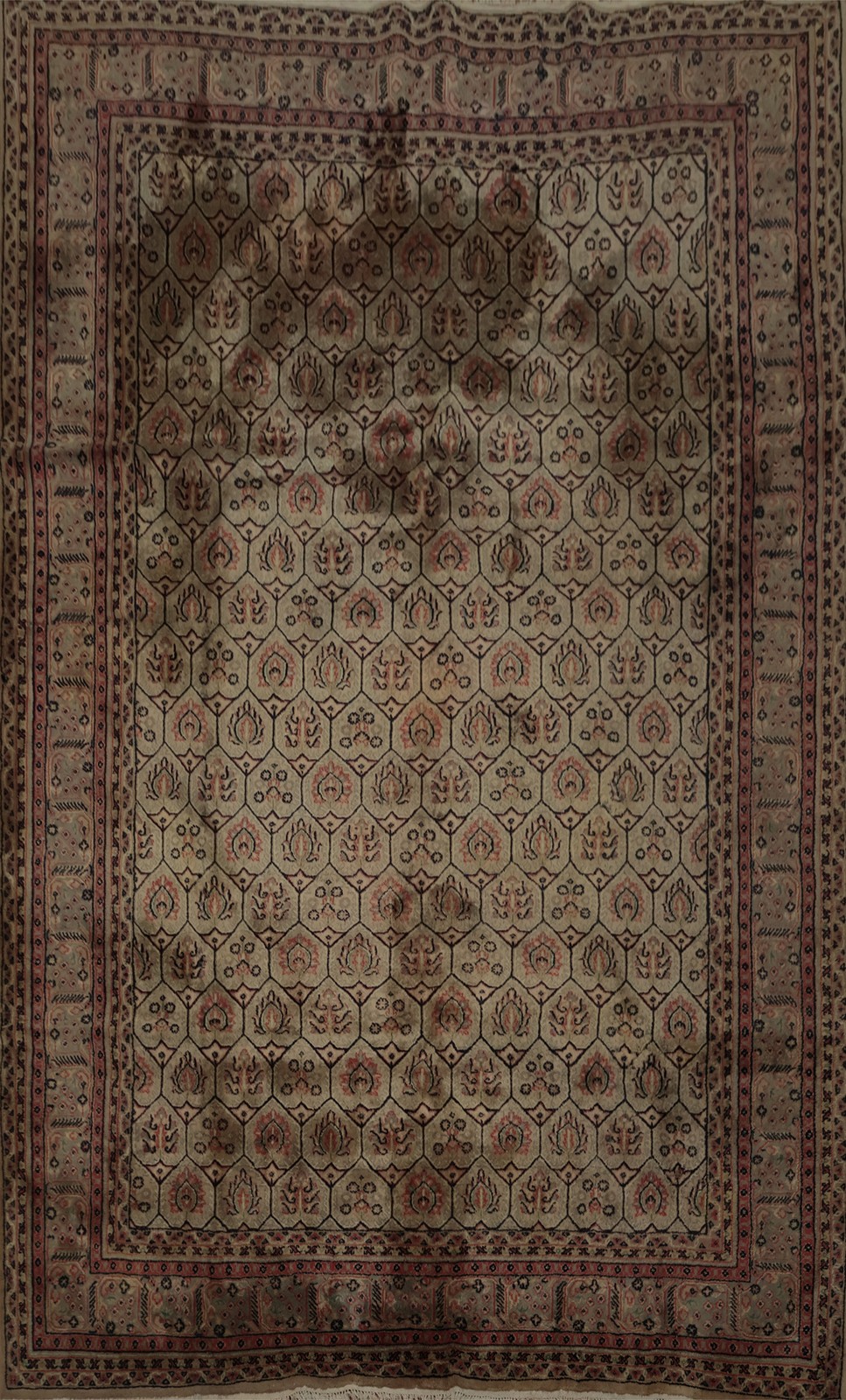 Heritage Charm Agra Area Rug 7×10 with Traditional Artistic Designs Wool Carpet