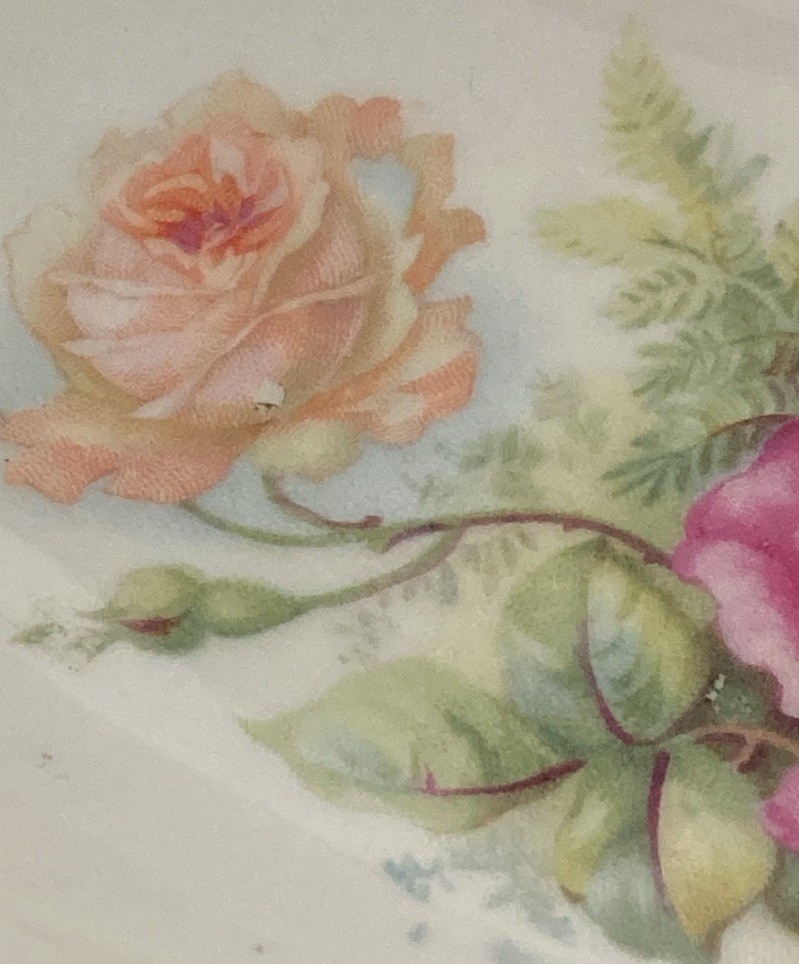 Antique Porcelain Hand-painted Dish. Floral Rose Design 7.5” Across Circa 1900