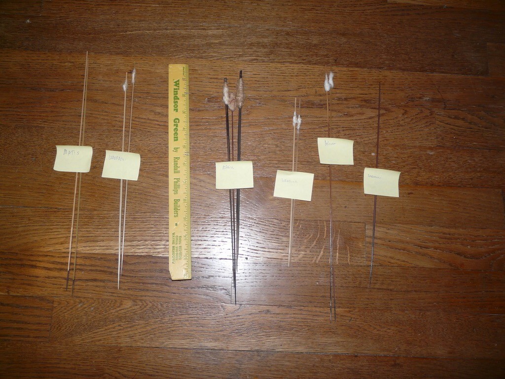 Collection of 12 Amazon Indian darts from 5 tribes