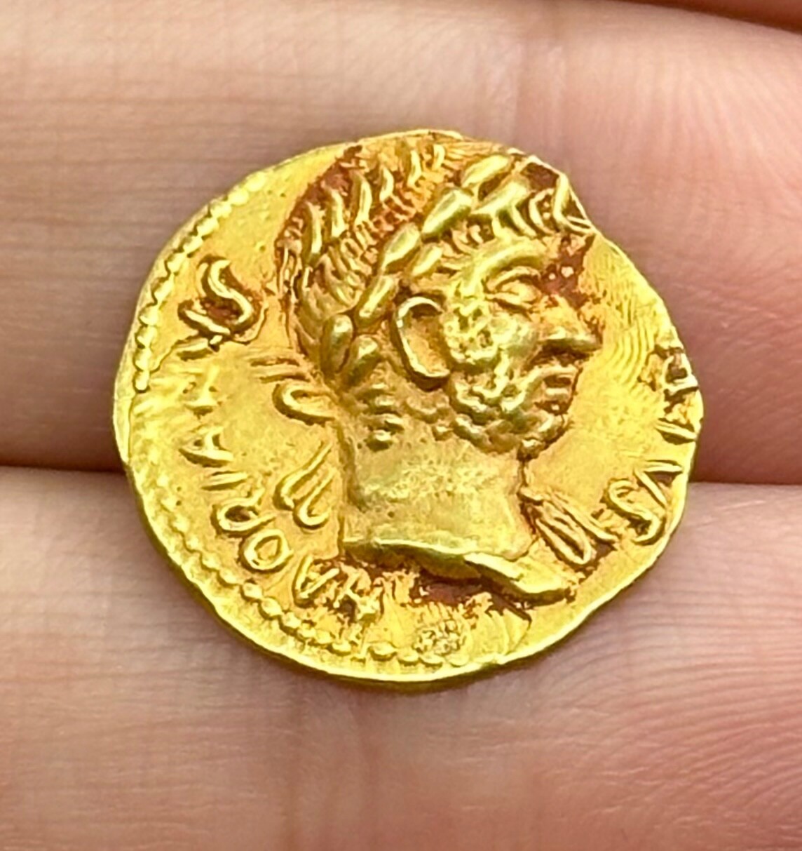 Ancient Greek Bactrain Kingdom High Carat solid Gold Coin