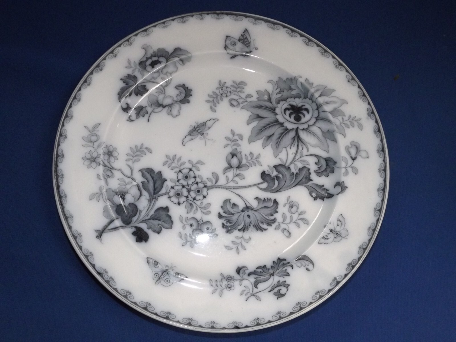 Antique Staffordshire STONE WARE SUNFLOWER 10 1/2″DINNER PLATE c.1850 No Chips