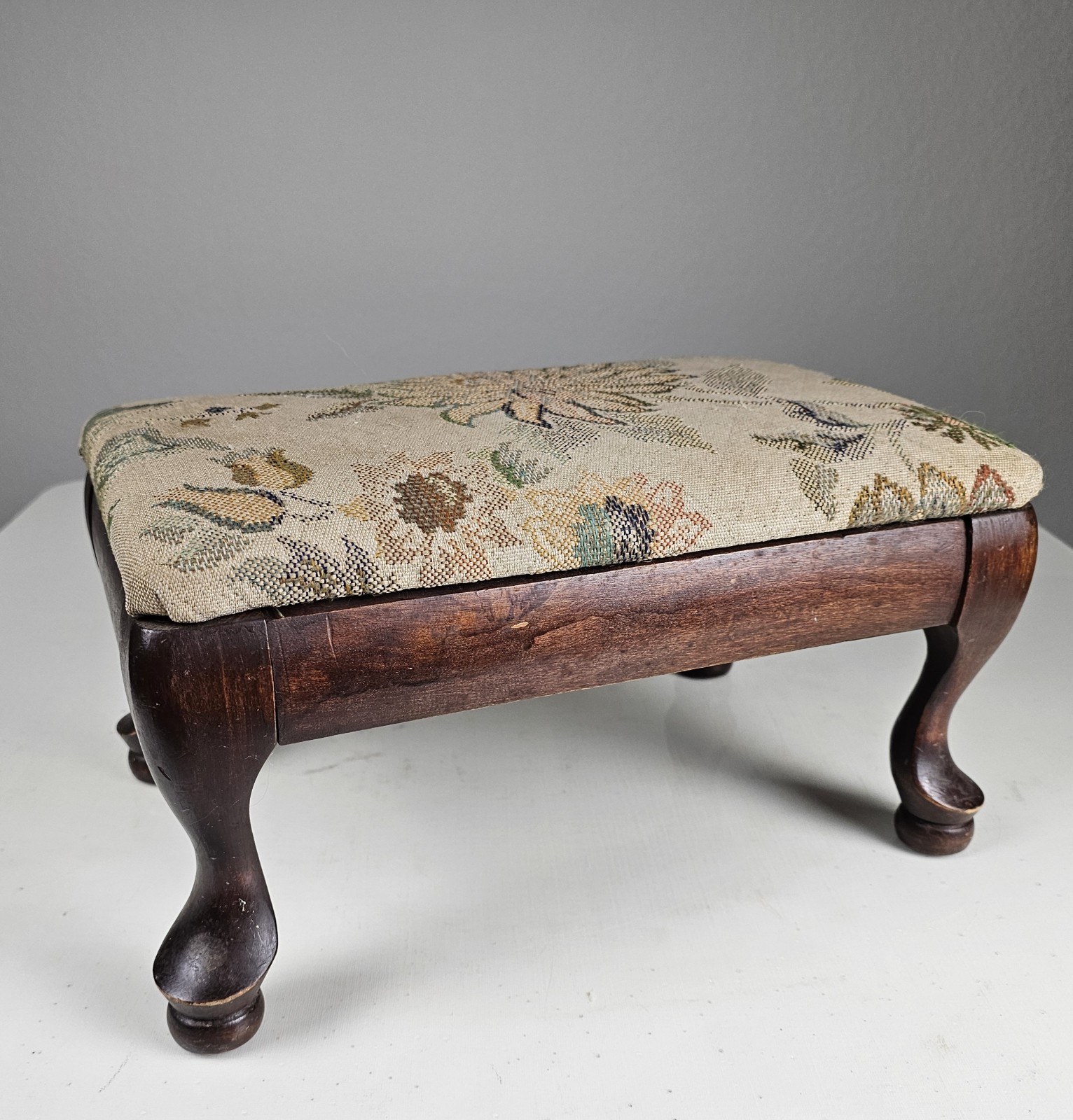 Needlepoint Footstool Ottoman Wood Vanity Stool Queen Anne Hidden Big Eye Art