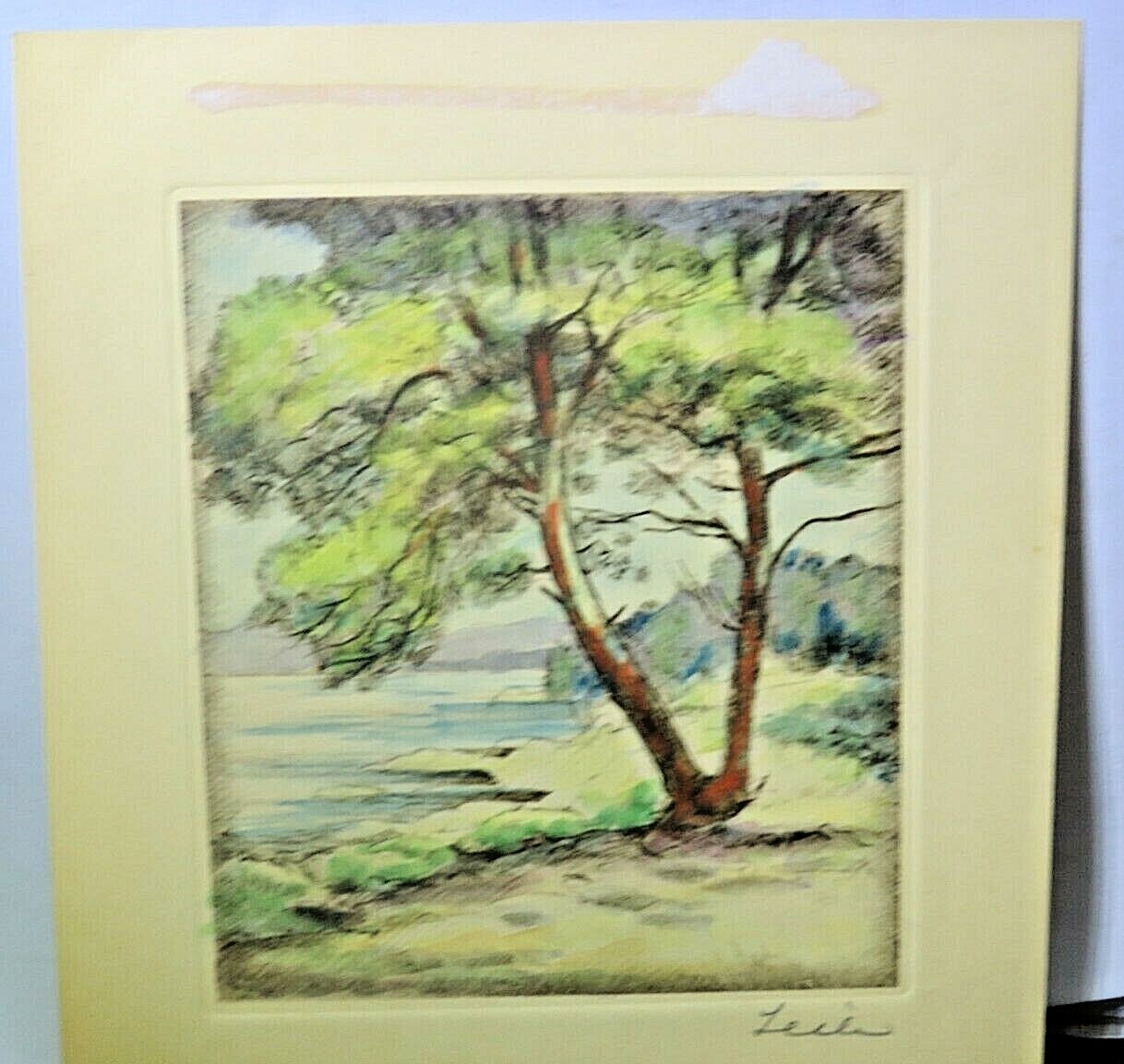 Vintage Etching Willy Seiler original hand colored etching Trees 6-7/8″ x 7-3/4″