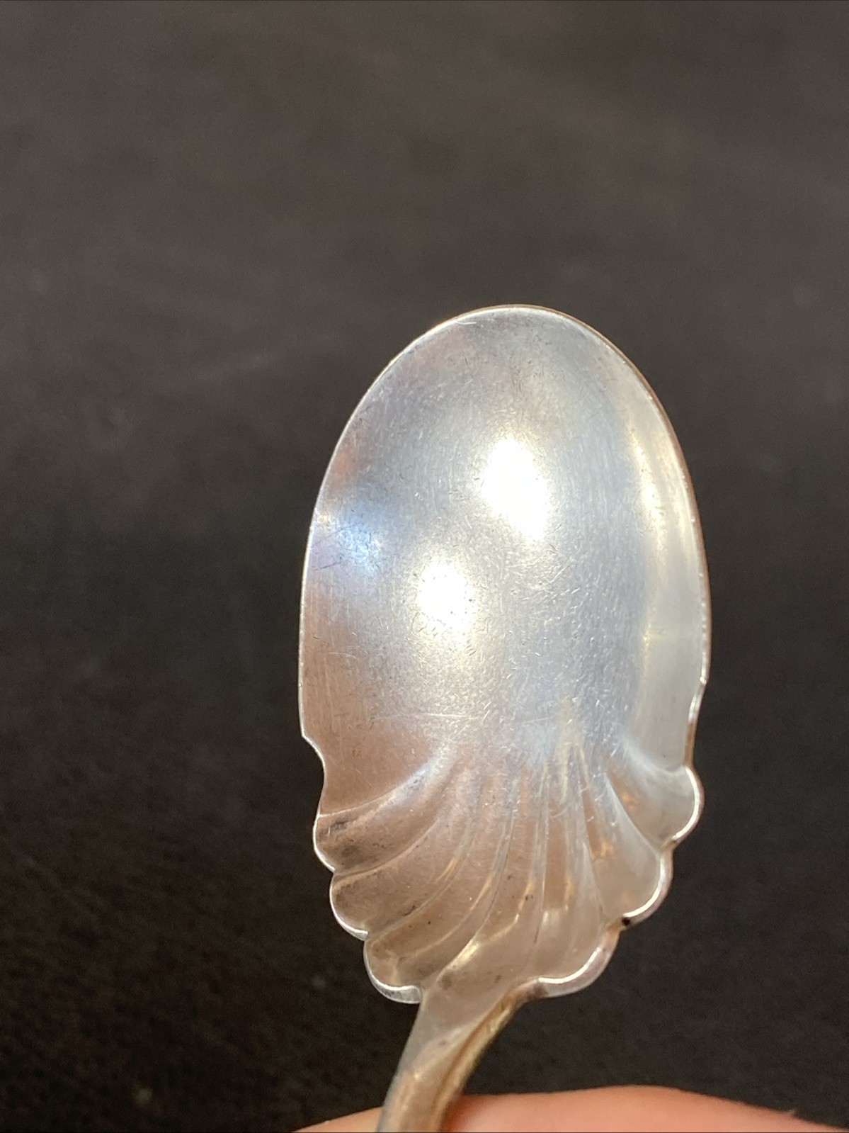1888 Mayflower Daisy Ruby HOLMES & EDWARDS XIV Silver Plate Sugar Shell Spoon