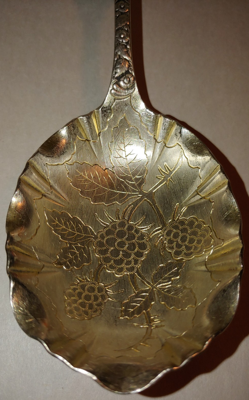 WM. Rogers Berry Spoon Ionic