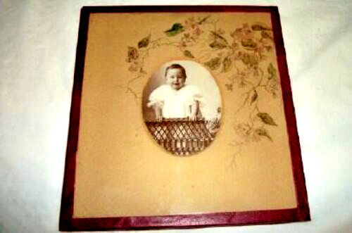 Victorian Baby Photograph HP Floral Mat 1898 Glass William Ramsey Howell Mich