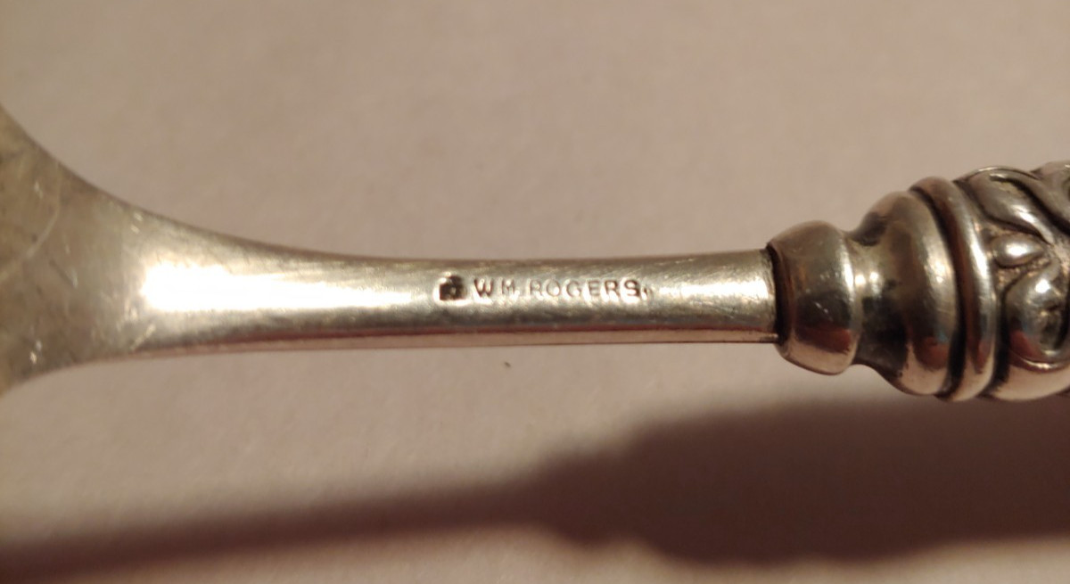 WM. Rogers Berry Spoon Ionic