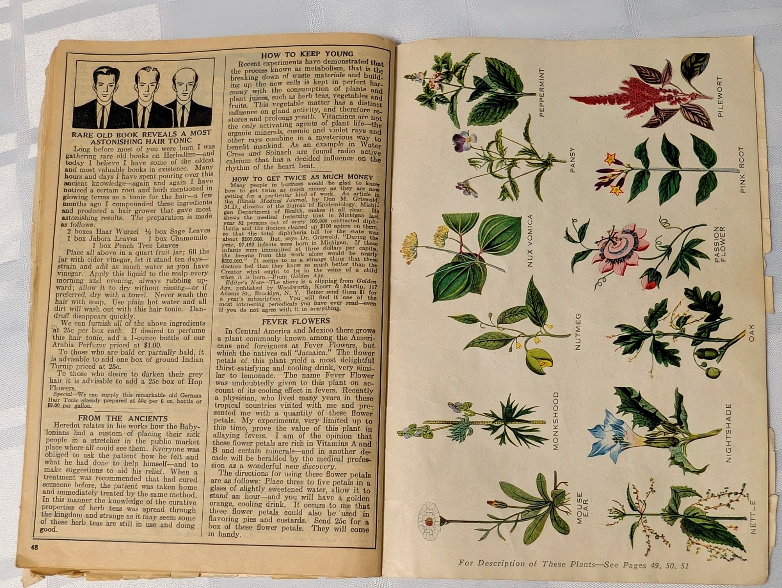 1933 THE HERBALIST ALMANAC PAPER REFERENCE BOOK NATIVE AMERICAN COVER NATURE