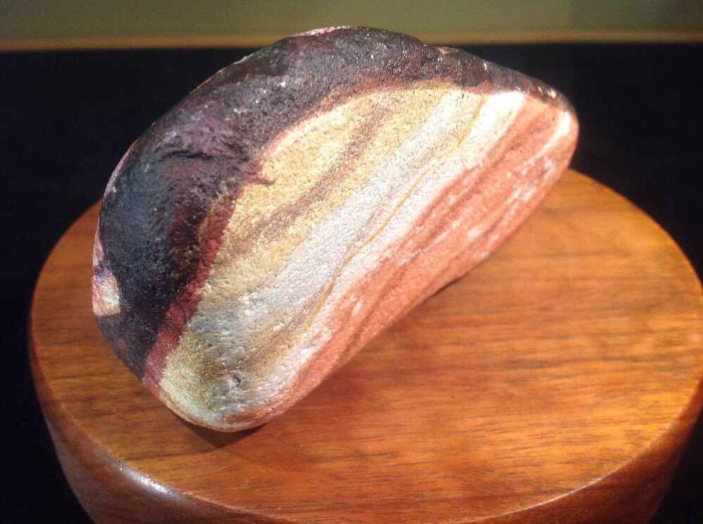 Vtg 1991 Folk Art Hand Painted Signed Seashell Rock