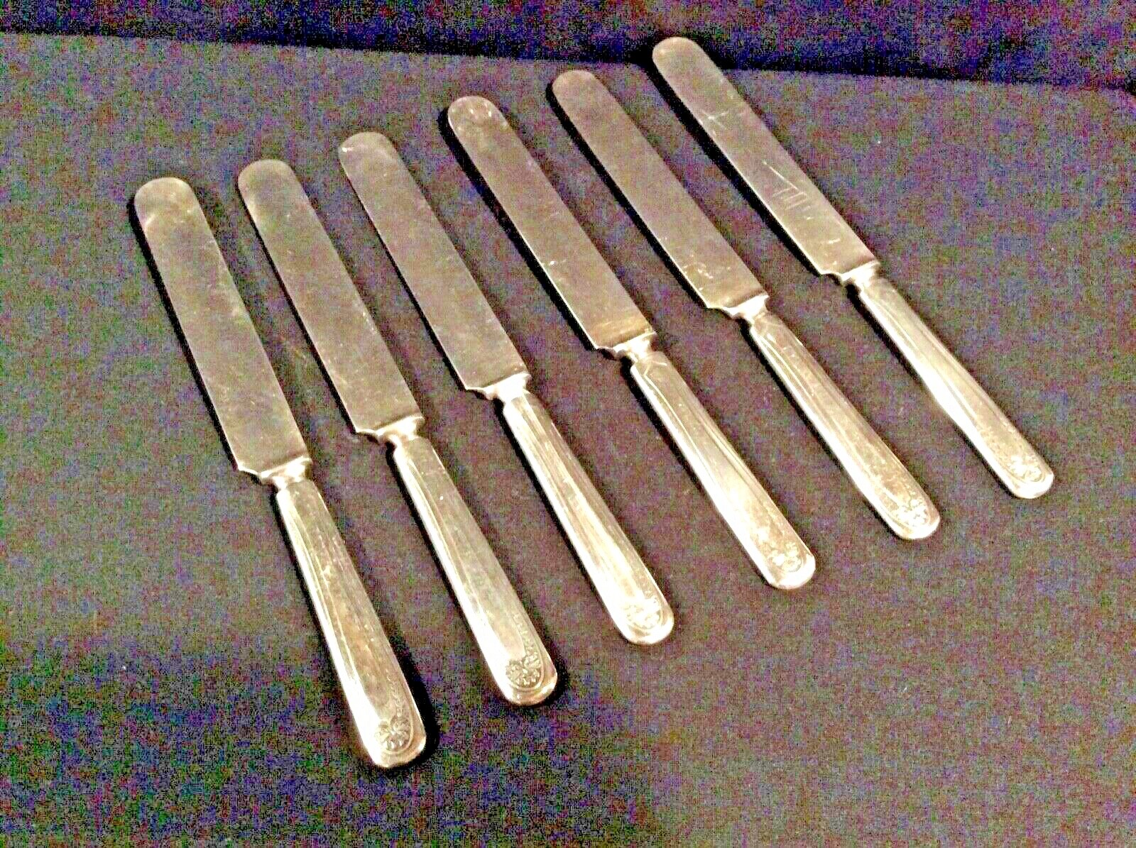 Bridal Wreath Oneida 1915 Par Plate Knives – 6
