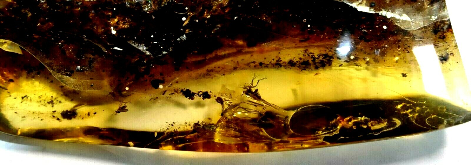118gr RUSSIAN SOVIET RARE BALTIC SEA INSECT AMBER GEMSTONE 老琥珀 KALININGRAD ROCK