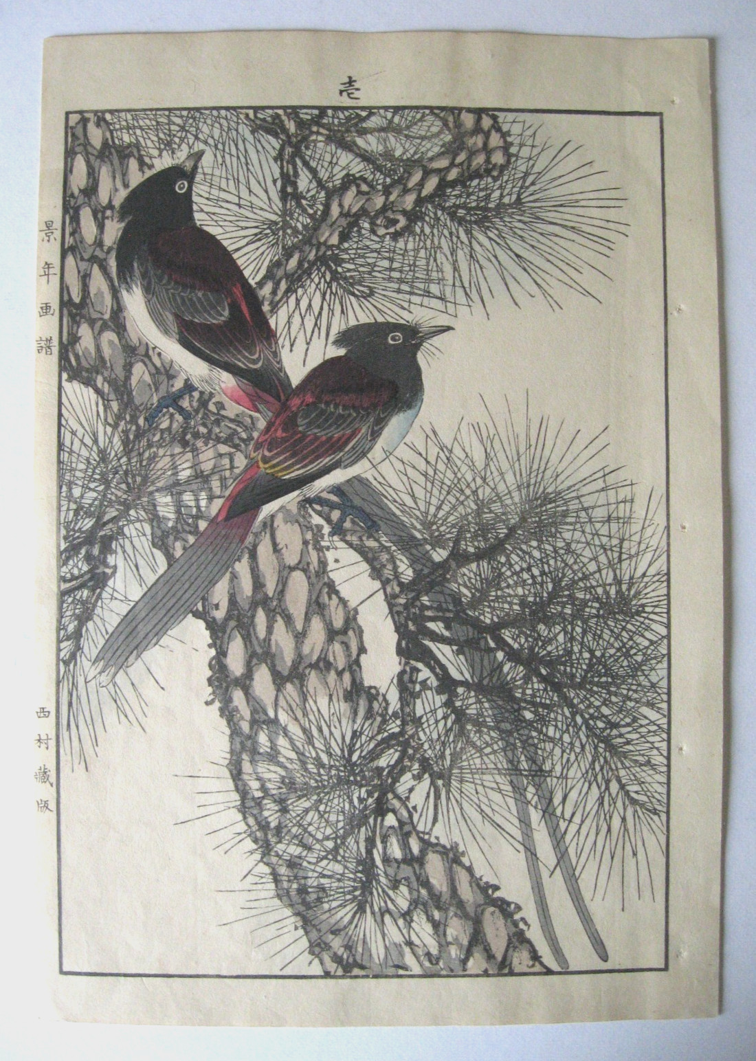 IMAO KEINEN Japanese woodblock, “Waxwings in Tree” / No.1 in series, 1882