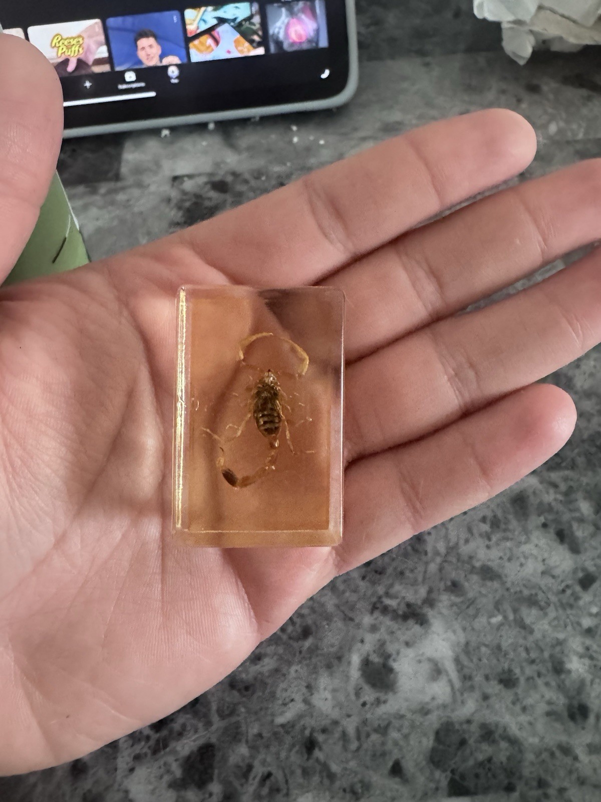 N24.504 Scorpion Paperweight Resin Insect Exotic Animal Art Deco Rectangle