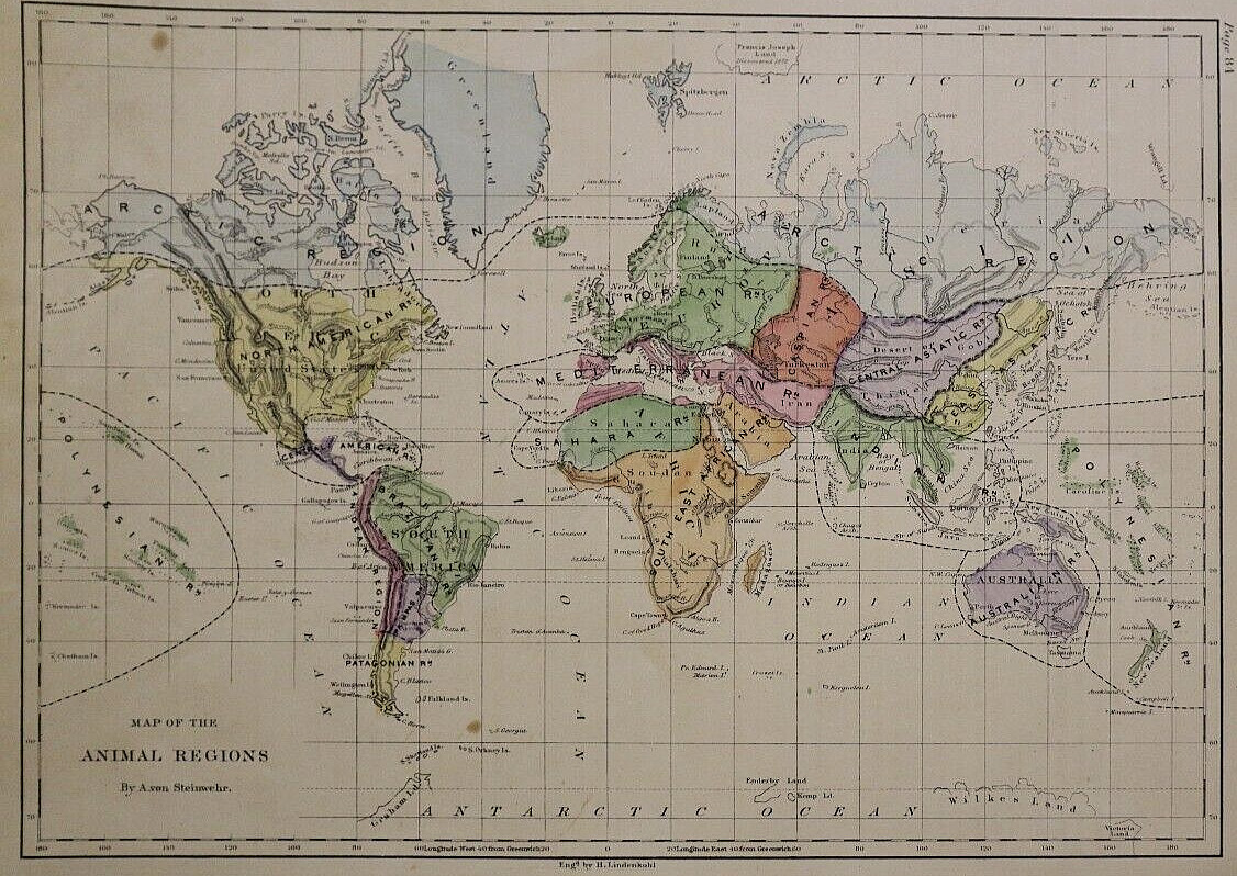 1898 World Map ~ AMINAL REGIONS ~ Original Hand Coloring (9×12)-#15