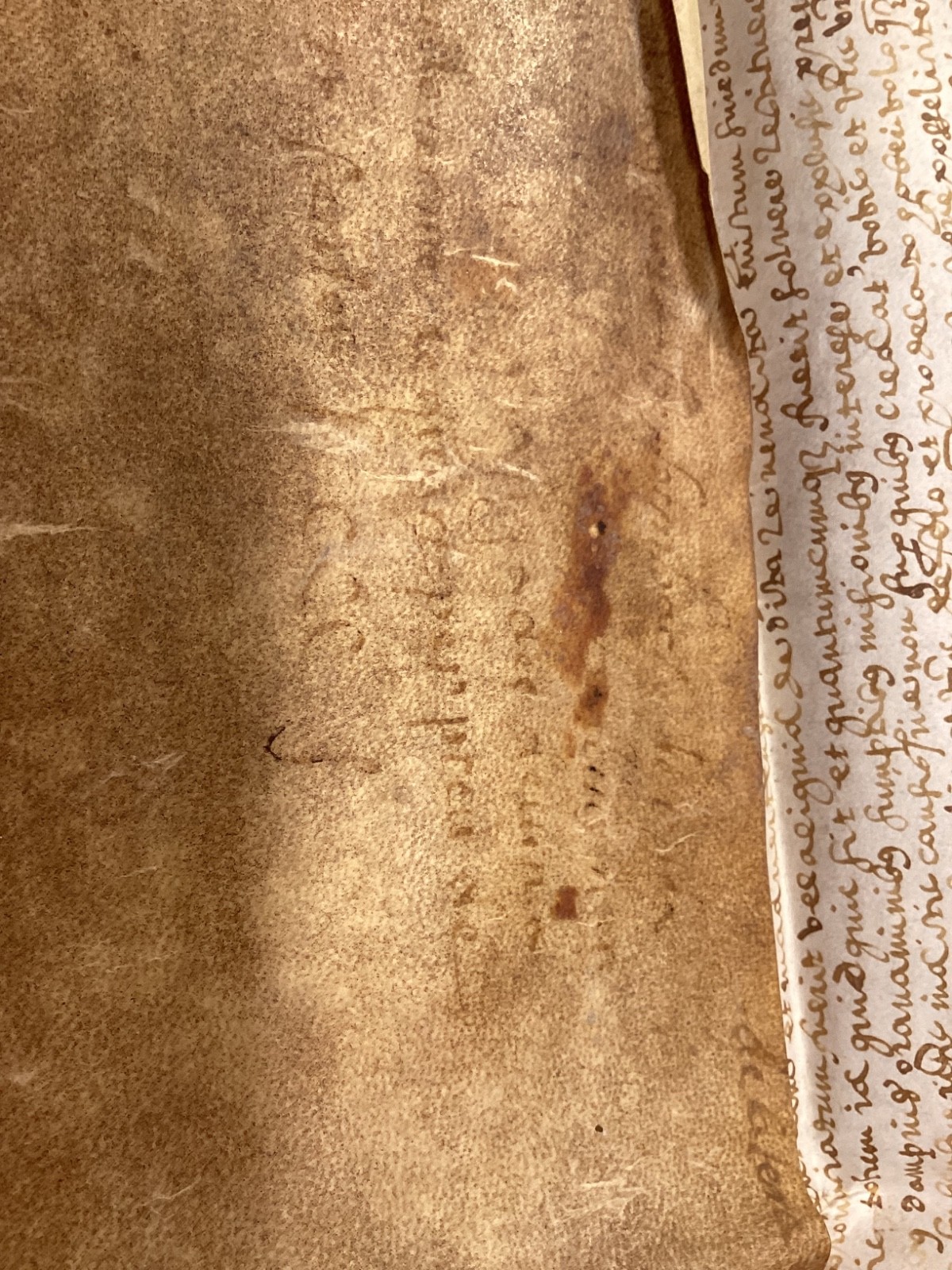 1500’s Vellum Manuscript Document-Handwritten Latin Legal Deed w/Flourishes