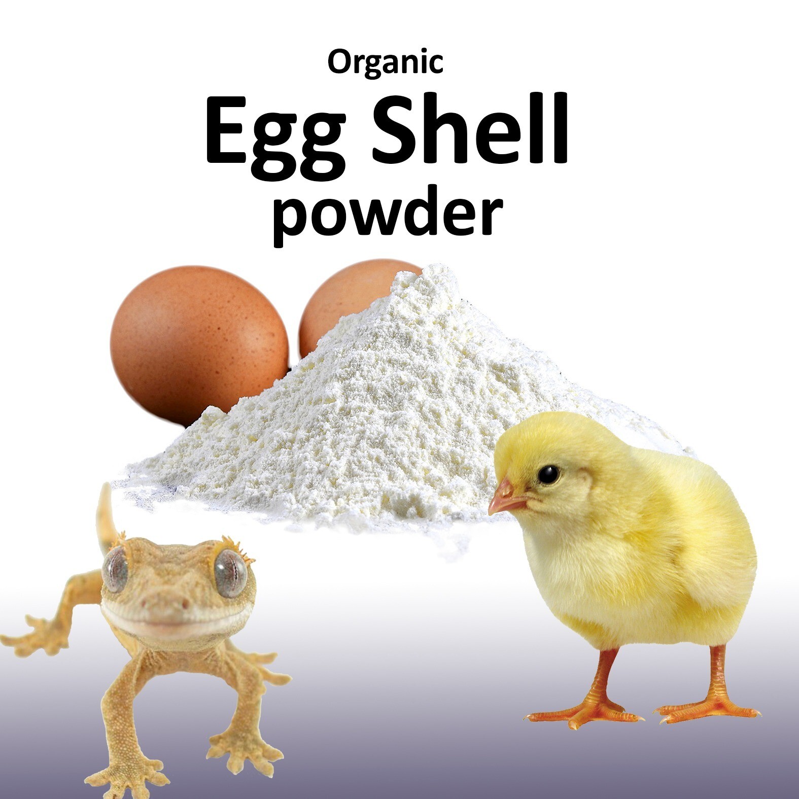 1 lb Organic egg shell powder use as Fertilizer or for all animals supplement