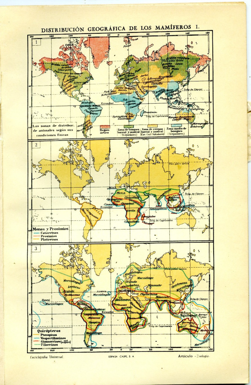 1920s Antique Maps Mammals Worldwide Distribution Animal Groups Retro Decor