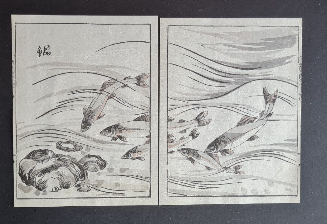 Pair of antique (c. 1908) Japanese woodblock prints – Salmon Fish- Kacho Gafu
