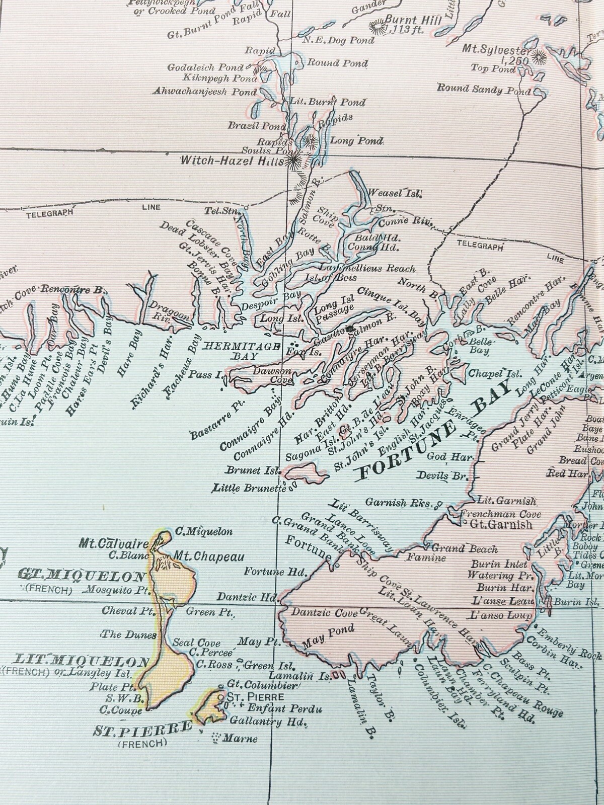 Antique Newfoundland Canada Map 1901 St Johns Mount Pearl Original 14” X 22”