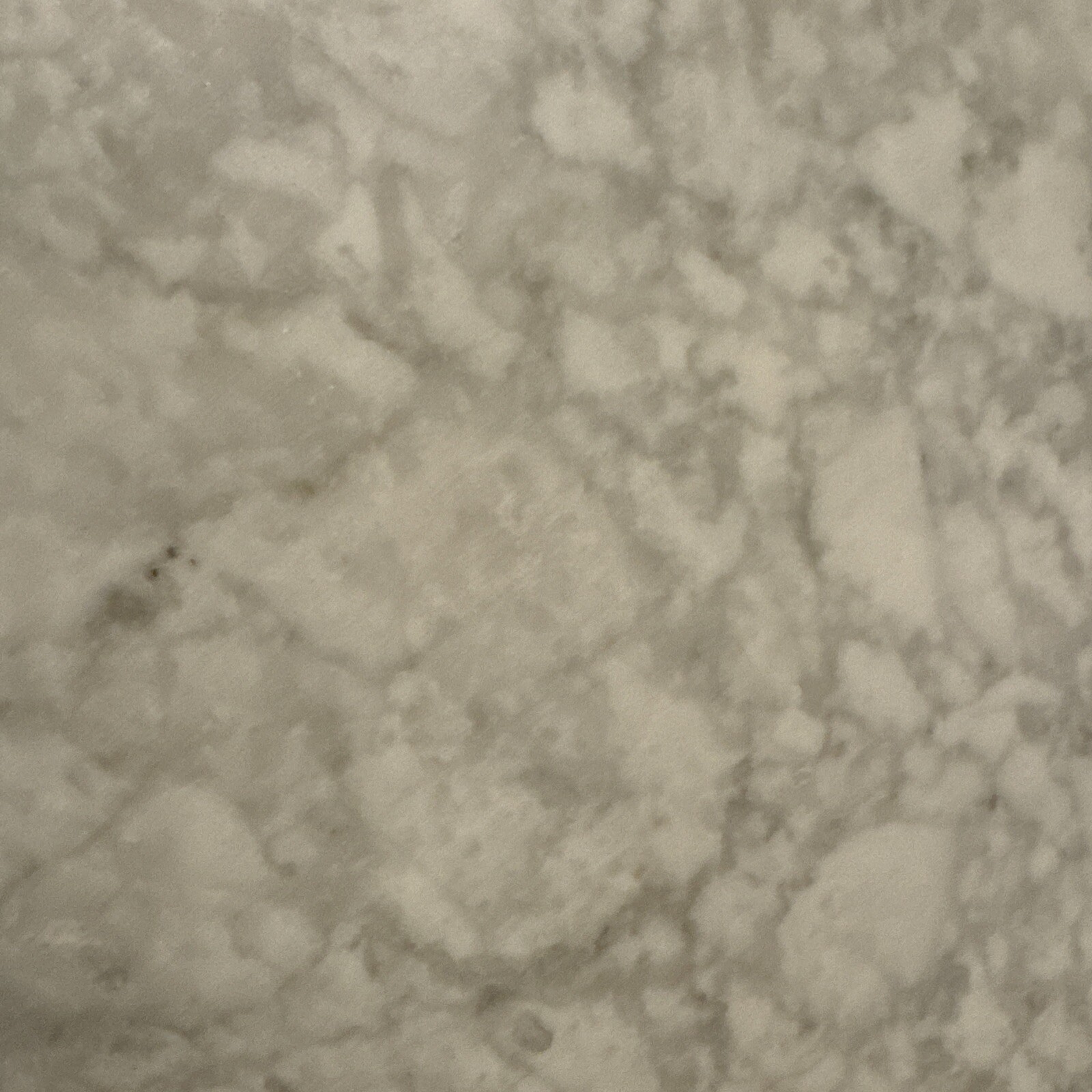 Vintage Solid Replacement 24” Marble Table Top (Italy) White & Gray Veining