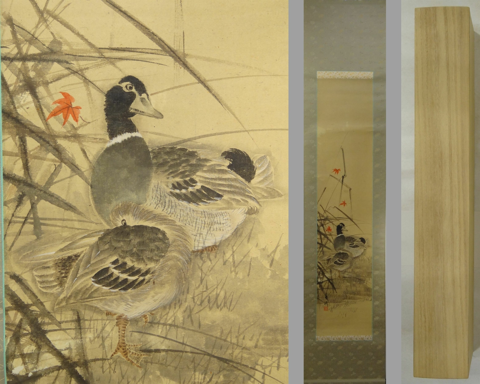 IK187 Duck Bird Animal Maple Hanging Scroll Japanese Asian Art painting Picture