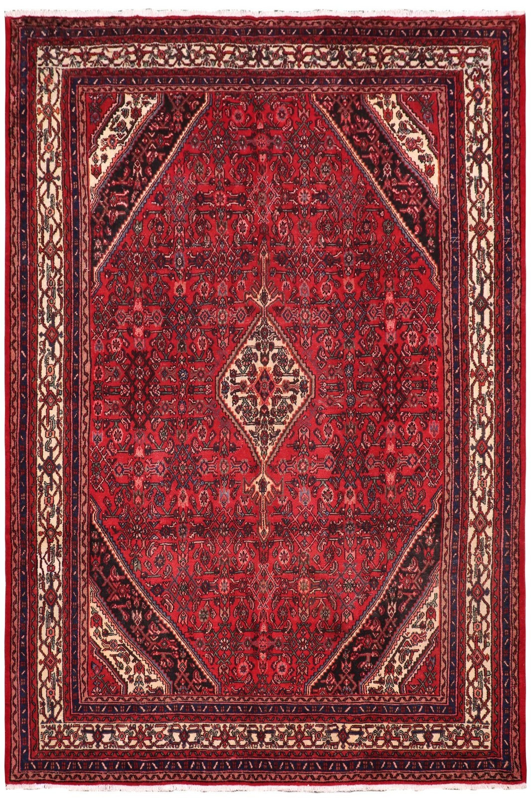 Hand-Knotted Wool Rug – 8’4″ x 11’10” Red & Blue Traditional Medallion