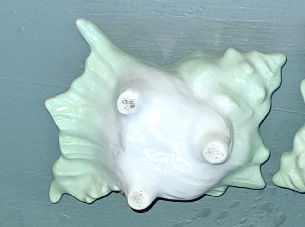 Naturalistic Antique Royal Bayreuth Conch Shell Sugar Bowl C 1900
