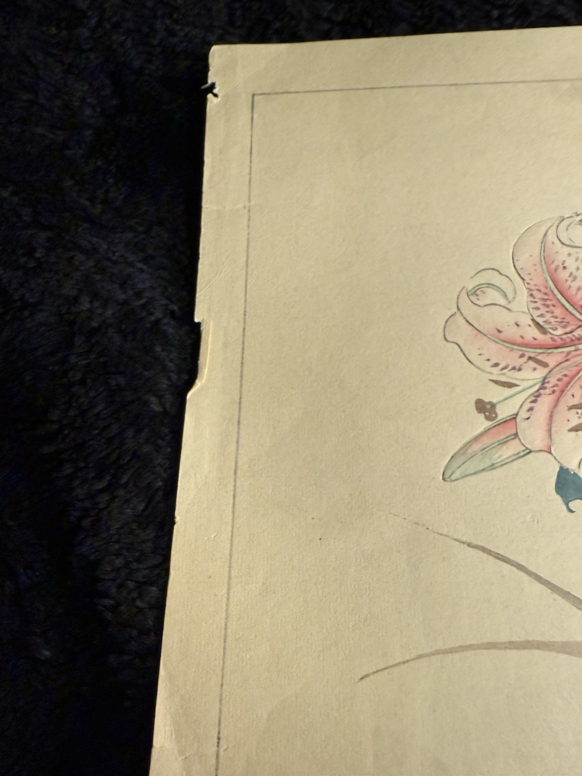 Vintage Japanese Wood Block Print unknown artist Lillies