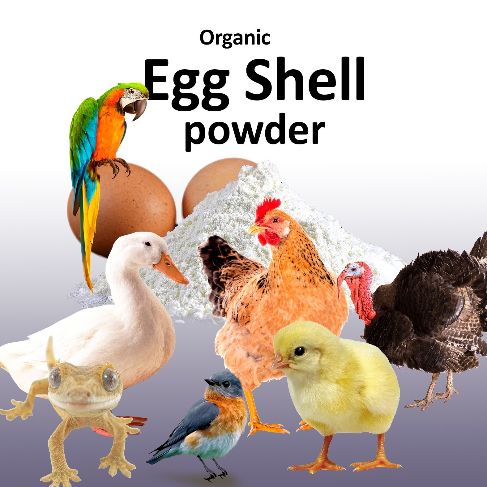 1 lb Organic egg shell powder use as Fertilizer or for all animals supplement