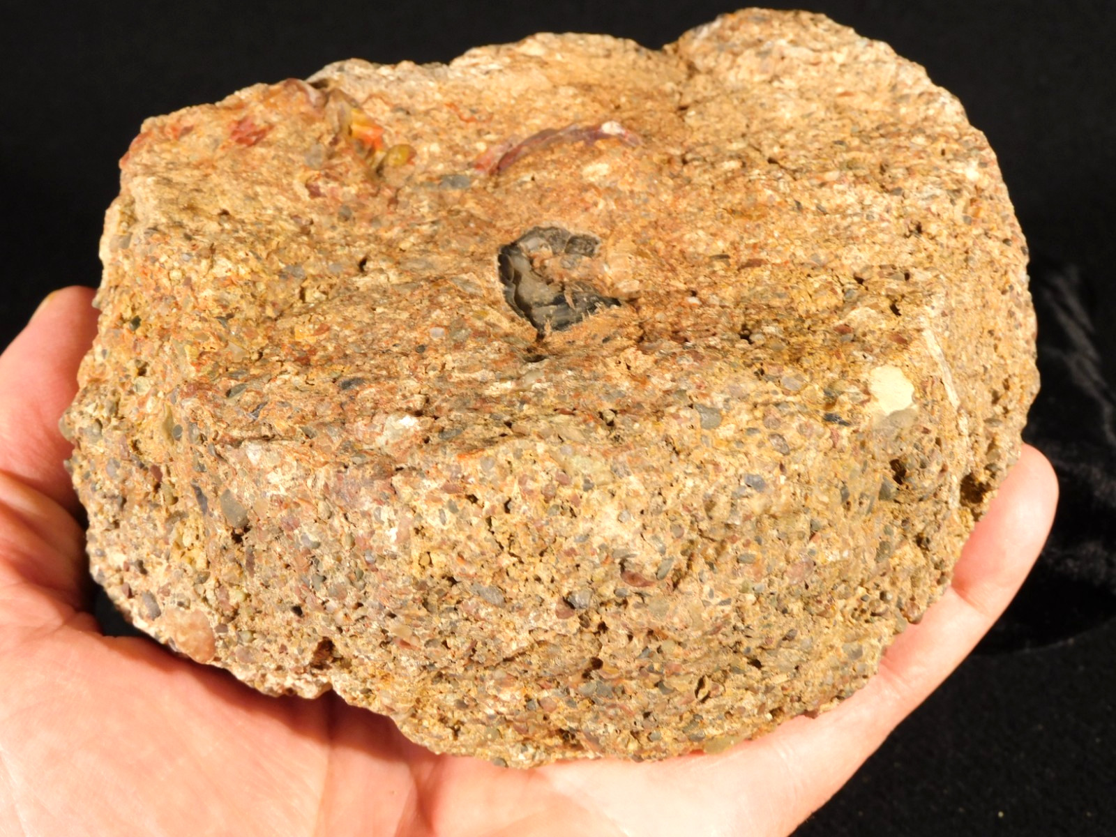 Larger! DINOSAUR COPROLITE or Fossil CRAP From Jurassic Utah 1212gr