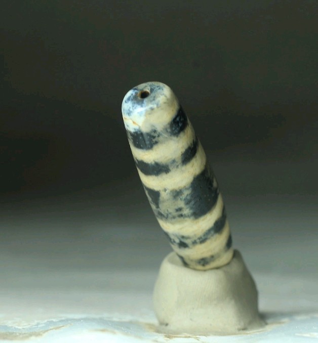 Pre-1800s Indo/Tibetan Old Agate Stripes Dzi Bead 14*48mm