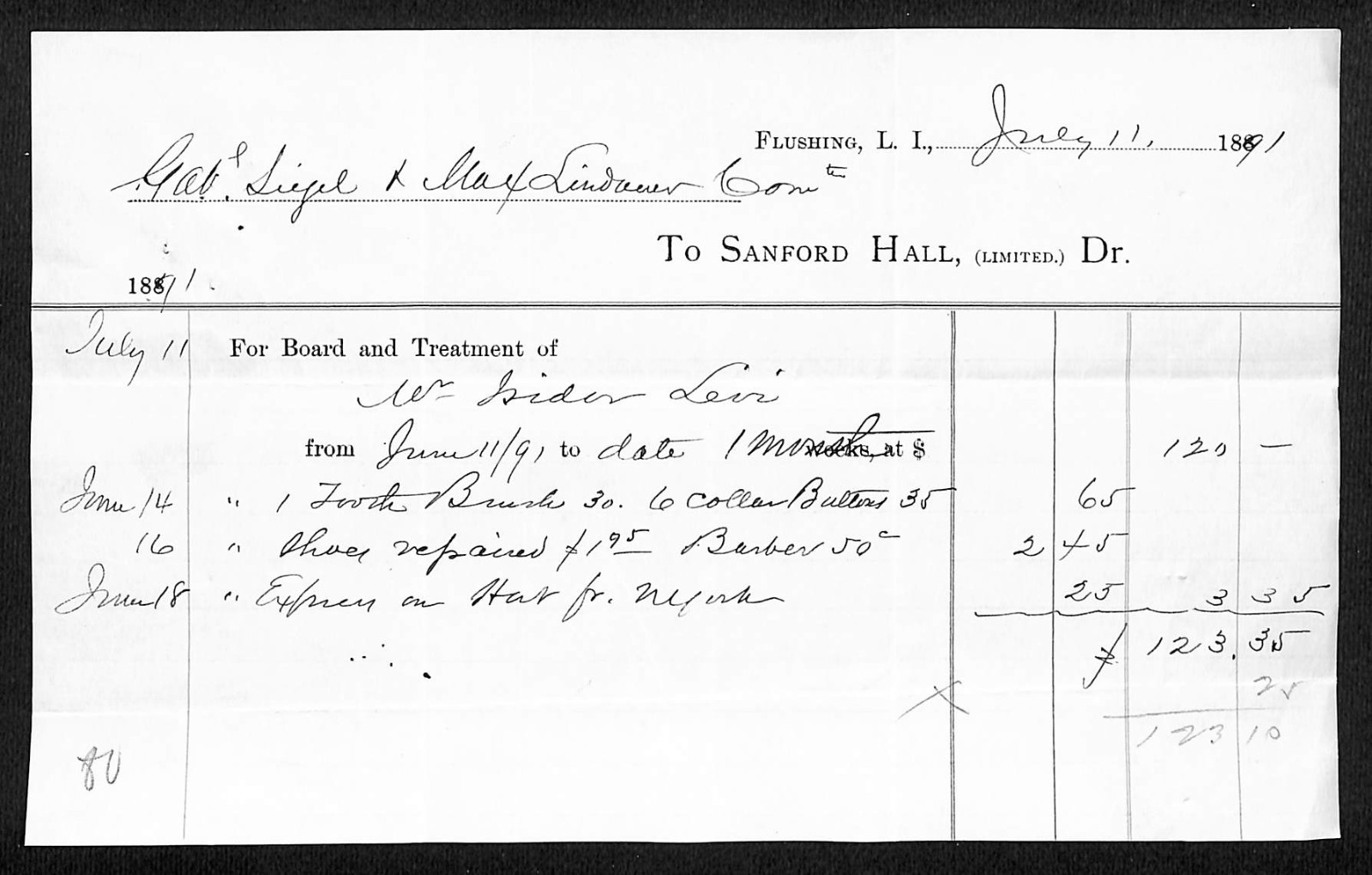 1891 Sanford Hall (Sanitarium) Flushing Queens Medical Treatment Billhead (#5)