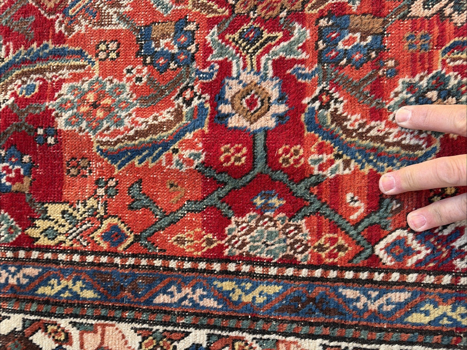 Auth: 19th C Runner Rare Herize Trans Caucasian Wool Beauty Sunset Red 3×14