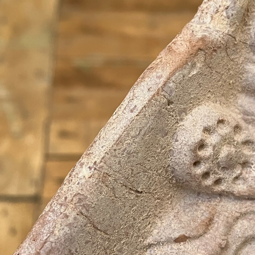 Antefix Architectural Element In Terracotta Ancient Greek 9.75″