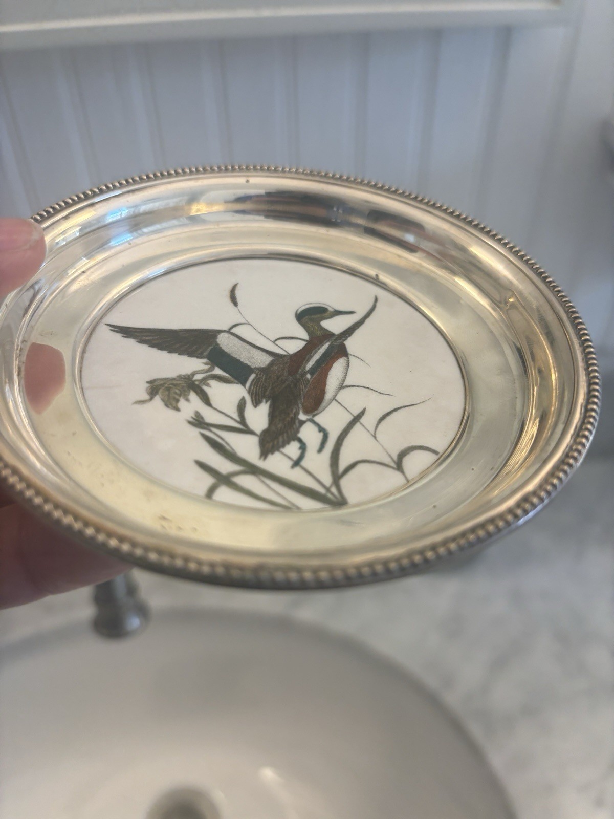 Frank M. Whiting / Sterling Silver Baldpate